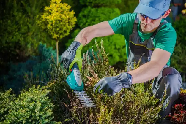 landscaping services Oneonta